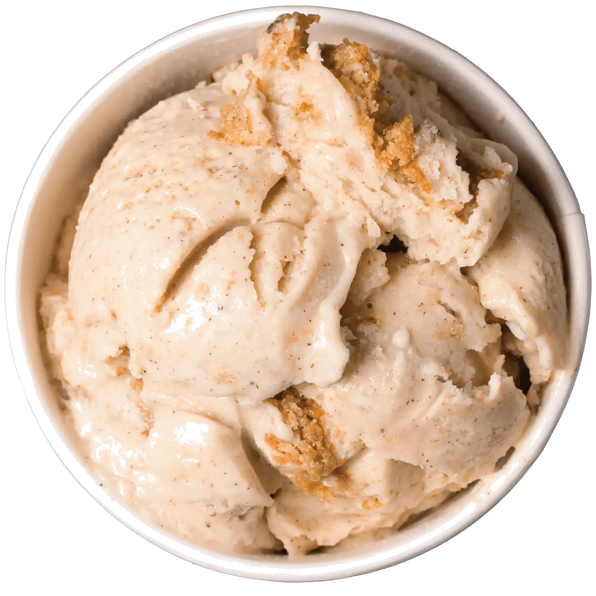 Oatmeal Cookie Ice Cream