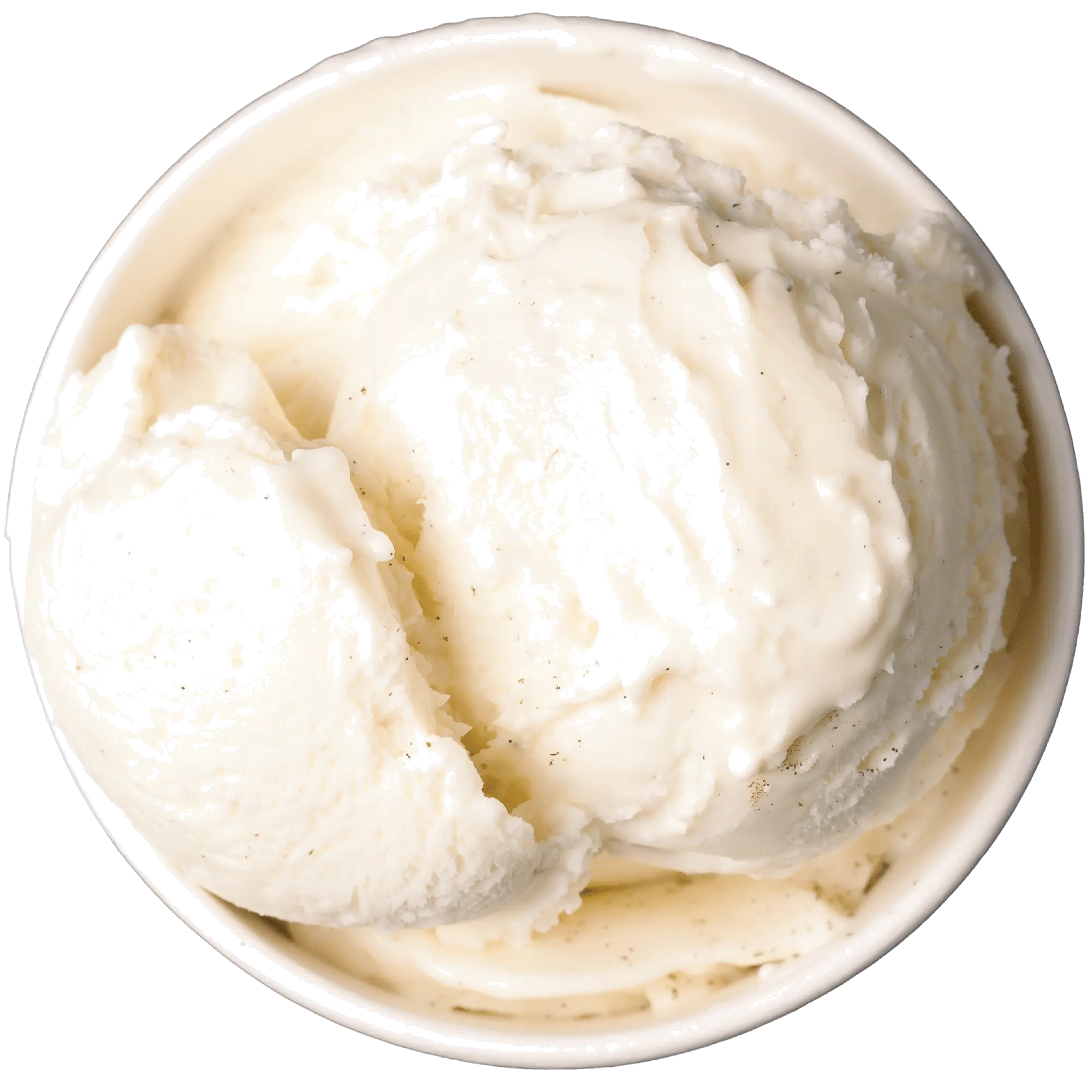 Vanilla Bean Ice Cream